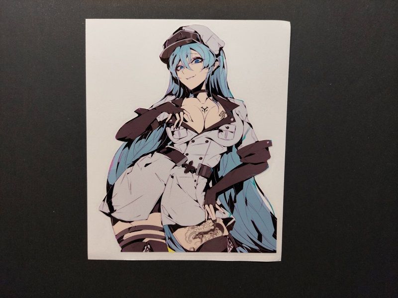 Аніме наклейка/стікер Вбивця Акаме Есдес / Esdeath Akame ga Kill AS001150 фото