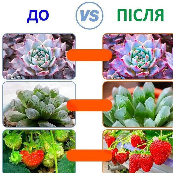 Фітолампа, світлодіодна LED лента 3м AS001115 фото