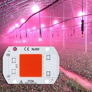 Led grow chip full 50 W, фіто світлодіод для рослин (фітоматриця) AS001121 фото