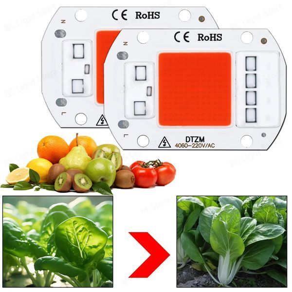 Led grow chip full 50 W, фіто світлодіод для рослин (фітоматриця) AS001121 фото